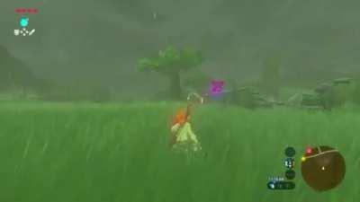 Get down, Mr. President!