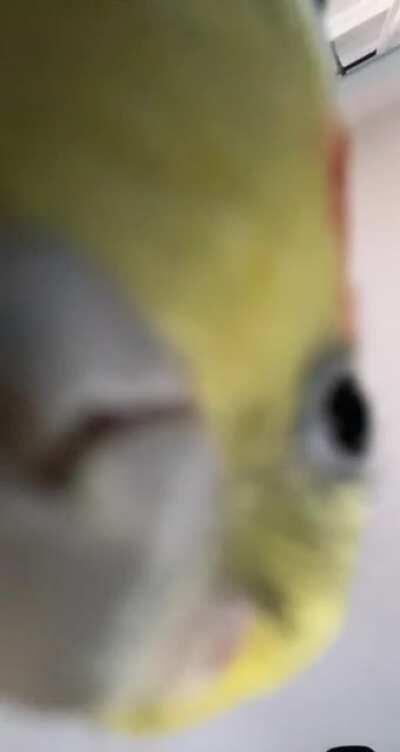 POV: you’re a seed