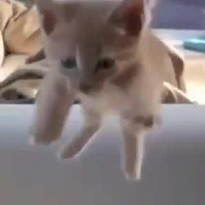 COMO QUE USA O REDDIIIIIIT?!?!?!