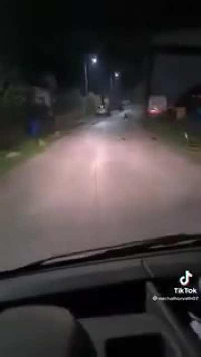 этот поляк с бемби сделал мое утро 😂