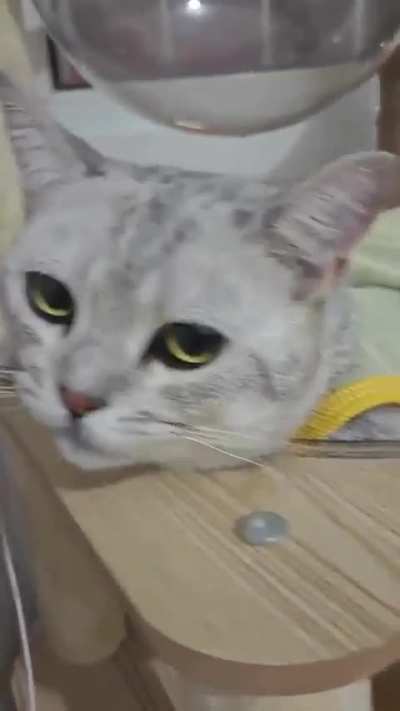 carsssdfgdgdhsklaladdkks