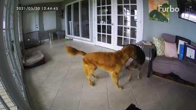 Hey bro! It's just a dream