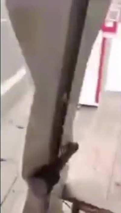 What a cool cardboard cutout!