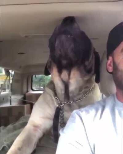 That sultry siren song.