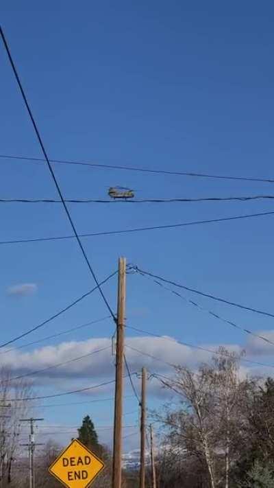 Saw this Chinook take off earlier