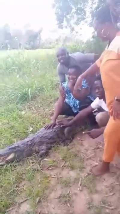 Let's treat a dangerous animal in the wild like it's just a harmless prop 🤷🏻‍♂️