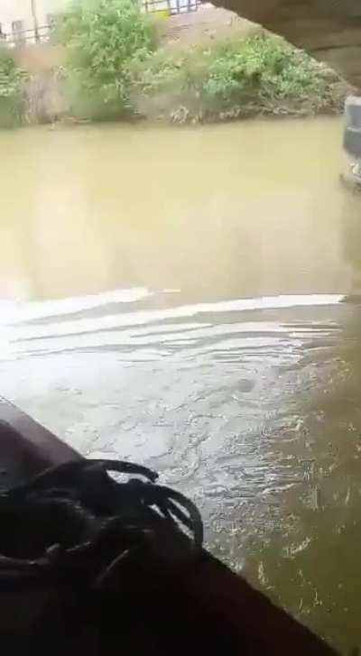 HMB, I will go over the bridge