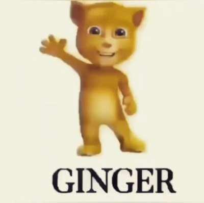 ginger
