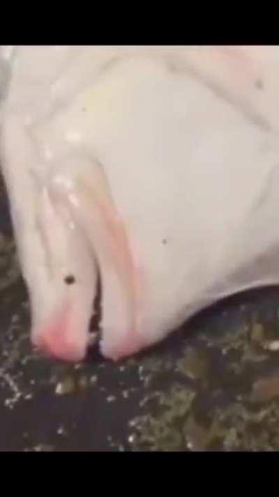 roblox slender kids when their parents dont let them spend 300$ to have half a leg in a lego game just to e-date