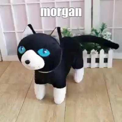 morgan