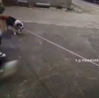 Don’t worry, the ropers on it.