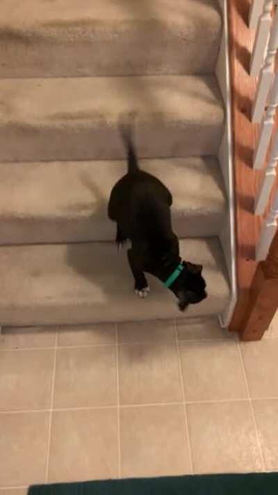 Watch out, Jerk coming through!