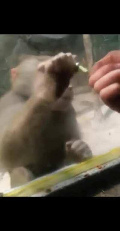 wtf orslok sorprendido