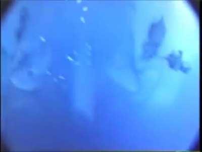 Careless divers get very lucky around ships propellers