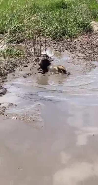 Anddd time for a bath now