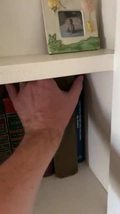 [OC] I finally added the final touch to my secret passageway