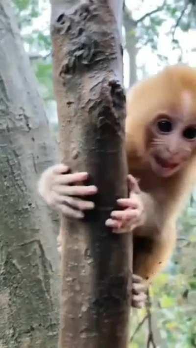 I am Happy to See You, Human!!