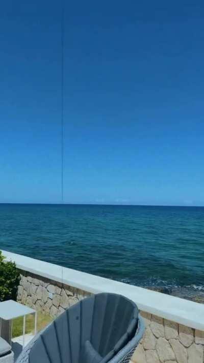 Whole lotta ass 🍑🍑🍑