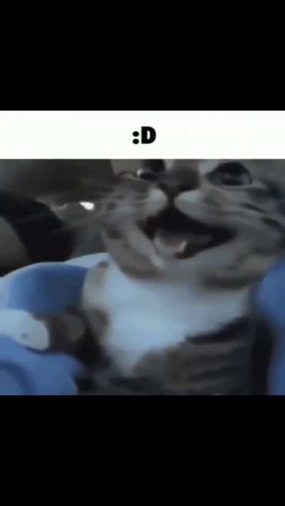 Please enjoy after licking some ketchup