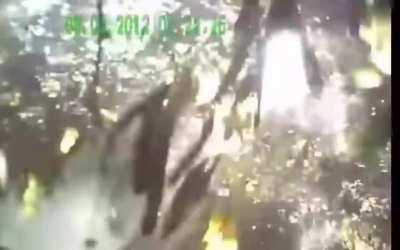 Russia: Car hits trees