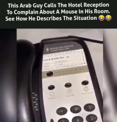 Gotta listen to this shit😂