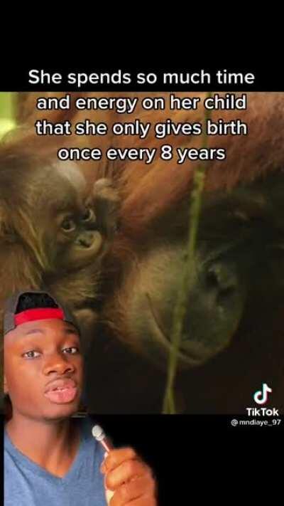 They love their mothers so much..