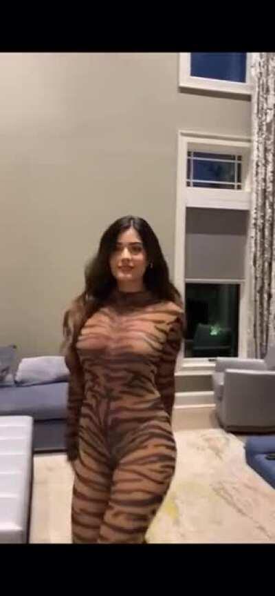 Tiger girl PT 2