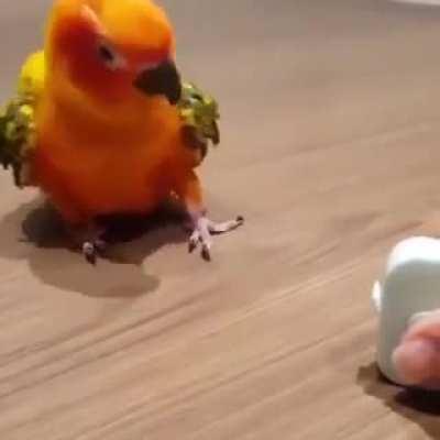 Guess I will just dance