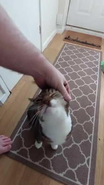 Oliver is having a loud day!