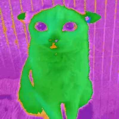 kot uszaty radioaktywny