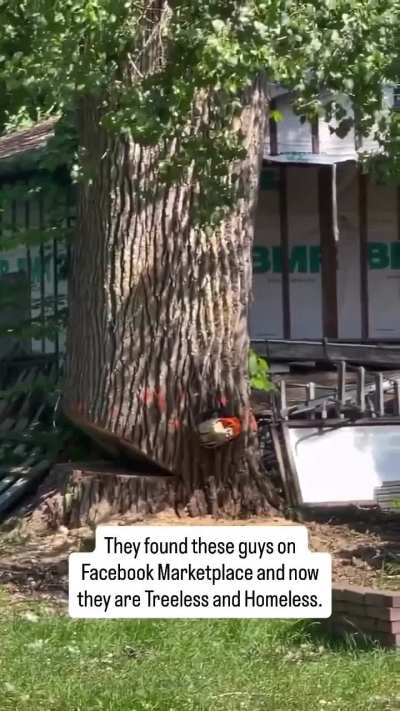 🤦‍♂️🤦‍♂️🤦‍♂️