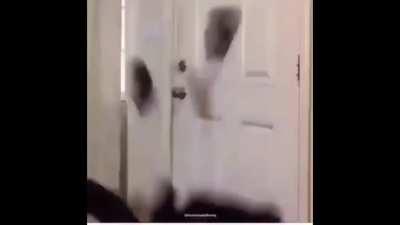 Funny black man explodes and dies *laughs*