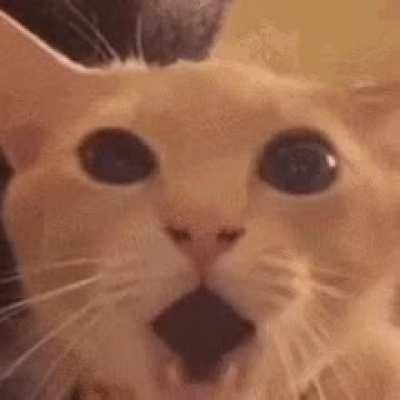 Yakuza 3 fans after i 