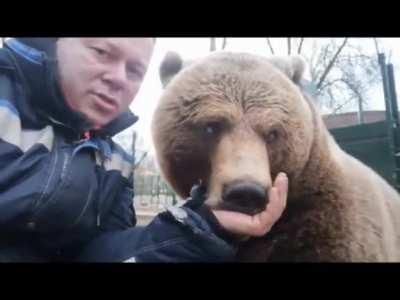 The cutest most gentle Russian Bear in the entire world! Turn it up...Listen to him Purrr