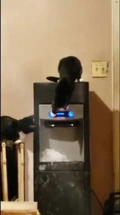 Cooler management in C@