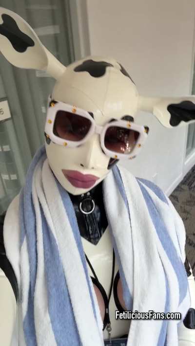 I feel like a MOOvie star 🐮😎