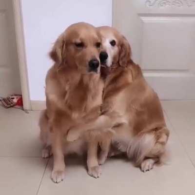 I don’t care if this gets downvoted. It’s adorable