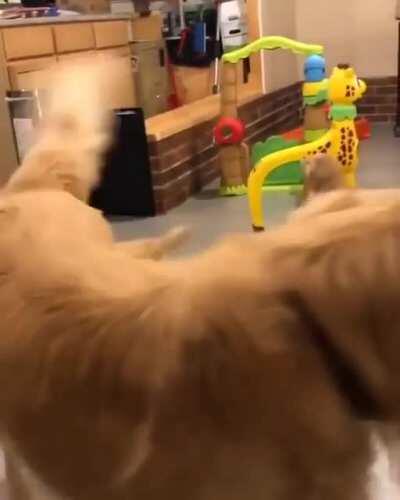 Hooman.. Please help don't just sit there and record this!