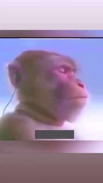 All of us when we hear millions 😢