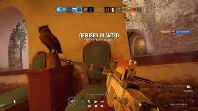 Remember the R6S trailer from 2014 that showcased how tactical you can be when attacking? I think we proved that it can still be done.