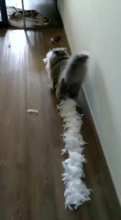 Просто нужно, зачем? .... не спрашивай!