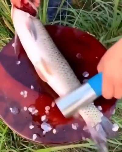 Fish scale scrapper🐠🐟