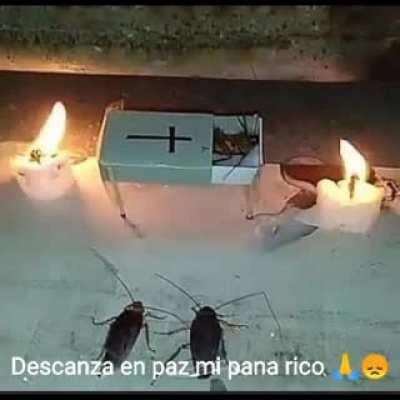 Estas en un lugar mejor mi pana. 🙏😞