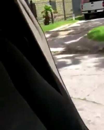 Trying to hop out of your moving car for a tiktok trend.