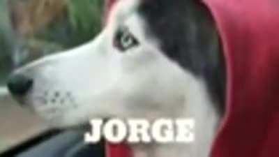 JORGE