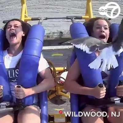 WCGW trying the slingshot