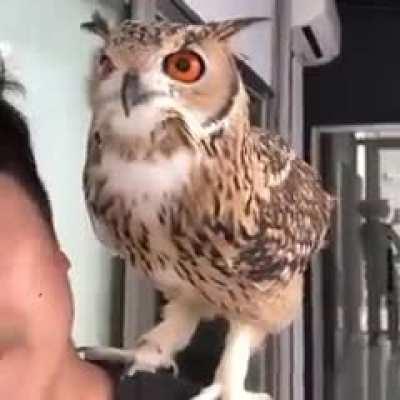 I mean how can you not like them they're so cool..