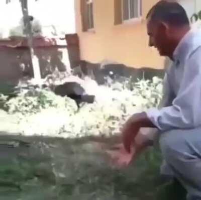 Releasing a bird back into the wild