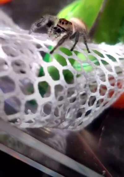 This made me tear up 😭