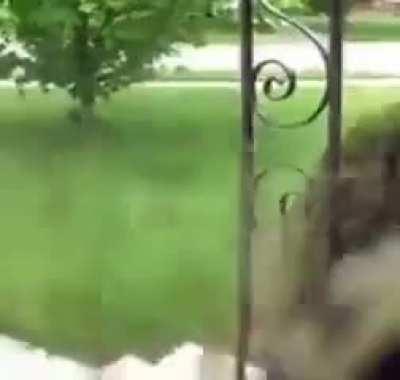 Moldy Front Door Cam